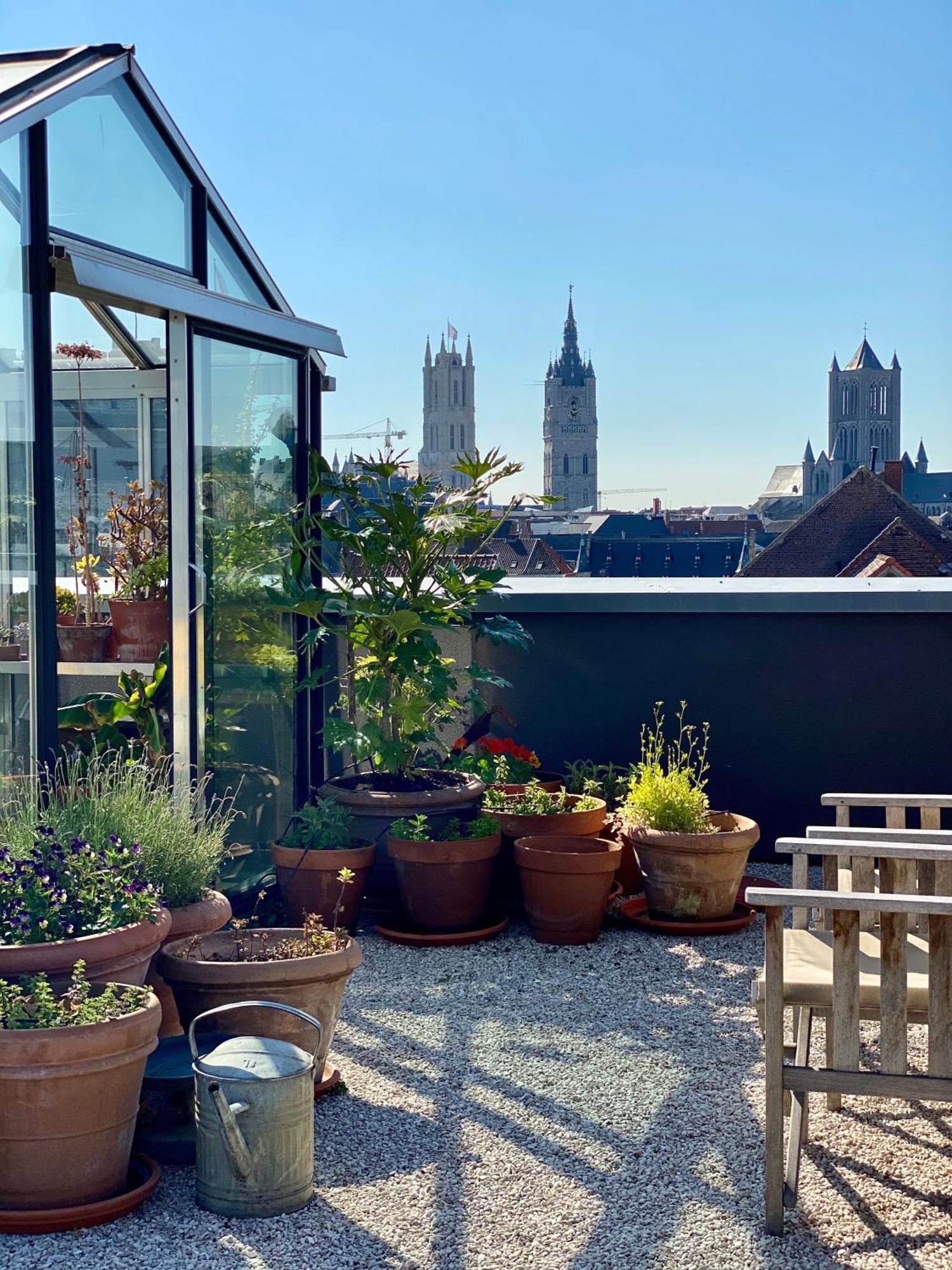 Great To Stay Gent I Rooms & Apartments Bagian luar foto